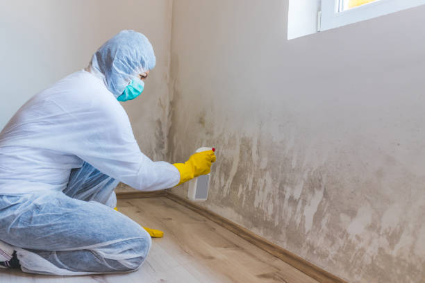 Licensed Mold Inspection service in Kimberton, PA - WQB Mold Removal