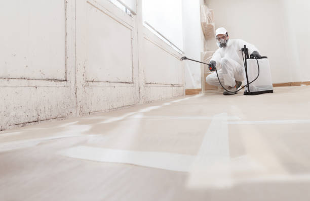 24/7 Emergency Mold Inspection experts in Kimberton, PA