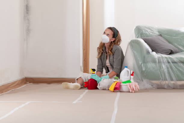Reliable Mold Inspection contractor in Kimberton, PA by WQB Mold Removal